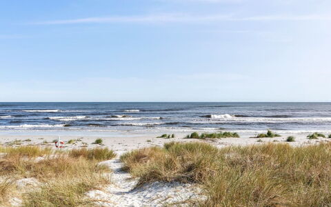 Selvi - 125M from the Sea: Dak, Huis, Huis, Verblijf, Siding, Landgoed, Oprit, Garden Gebouwen, Werf, Schuur