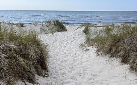 Alde - 300M from the Sea: Natuurlijke Omgeving, Strand, Kust, Zee, Kust En Oceanic Landvormen, Kust, Zand, Oceaan, Golf