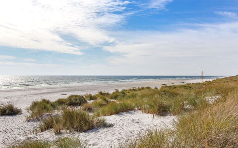 Loke - 300M from the Sea: Hout, Huis, Verblijf, Huis, Dak, Landelijk Gebied, Siding, Blokhut, Garden Gebouwen, Hardwood