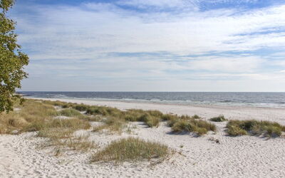 Loke - 300M from the Sea