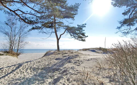 Franzine - 200M from the Sea: Verblijf, Tuin, Siding, Garden Gebouwen, Schaduw, Werf, Backyard, Gazon, Boerderij, Landscaping