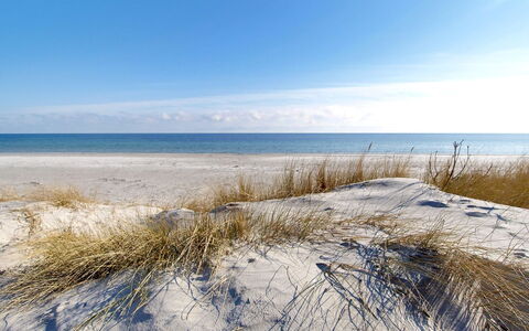 Franzine - 200M from the Sea: Verblijf, Tuin, Siding, Garden Gebouwen, Schaduw, Werf, Backyard, Gazon, Boerderij, Landscaping