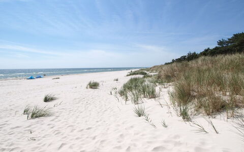 Nahuel - 200M from the Sea: Blauw, Natuurlijke Omgeving, Strand, Kust, Kust En Oceanic Landvormen, Zee, Kust, Zand, Oceaan, Tropen
