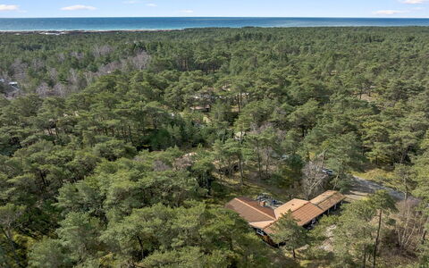 Gaja - 1Km from the Sea: Landschap, Ecoregio, Land Lot, Woud, Vogelperspectief, Luchtfotografie, Plantage, Jungle, Dicht Struikgewas, Rainforest