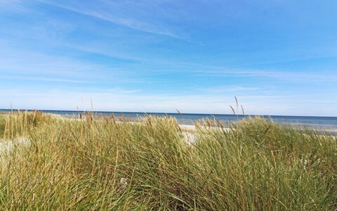 Gaja - 1Km from the Sea: Blauw, Horizon, Ecoregio, Kust, Kust En Oceanic Landvormen, Zee, Strand, Kust, Oceaan
