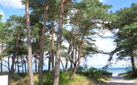 Muriel - 150M from the Sea: Hout, Huis, Verblijf, Huis, Dak, Landelijk Gebied, Siding, Blokhut, Garden Gebouwen, Hardwood