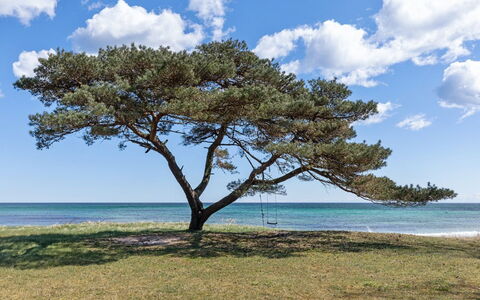 Botolphus - 20M from the Sea: Hout, Huis, Verblijf, Huis, Dak, Landelijk Gebied, Siding, Blokhut, Garden Gebouwen, Hardwood