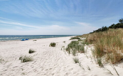 Michel - 300M from the Sea: Hout, Huis, Verblijf, Huis, Dak, Landelijk Gebied, Siding, Blokhut, Garden Gebouwen, Hardwood