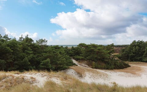 Minka - 300M from the Sea: Hout, Huis, Verblijf, Huis, Dak, Landelijk Gebied, Siding, Blokhut, Garden Gebouwen, Hardwood