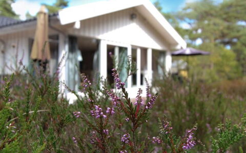 Minka - 300M from the Sea: Hout, Huis, Verblijf, Huis, Dak, Landelijk Gebied, Siding, Blokhut, Garden Gebouwen, Hardwood