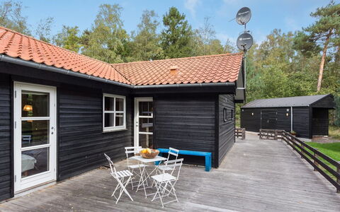 Fastulf - 300M from the Sea: Gras, Hout, Landelijk Gebied, Struik, Verblijf, Dak, Plain, Land Lot, Huis, Groundcover