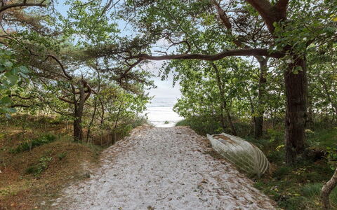 Fastulf - 300M from the Sea: Gras, Hout, Landelijk Gebied, Struik, Verblijf, Dak, Plain, Land Lot, Huis, Groundcover