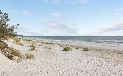 Fastulf - 300M from the Sea: Gras, Hout, Landelijk Gebied, Struik, Verblijf, Dak, Plain, Land Lot, Huis, Groundcover