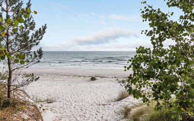 Fastulf - 300M from the Sea