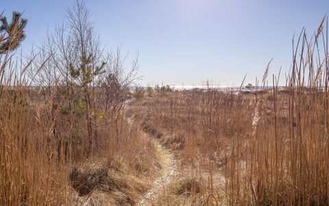 Unto - 25M from the Sea: Hout, Huis, Verblijf, Huis, Dak, Landelijk Gebied, Siding, Blokhut, Garden Gebouwen, Hardwood