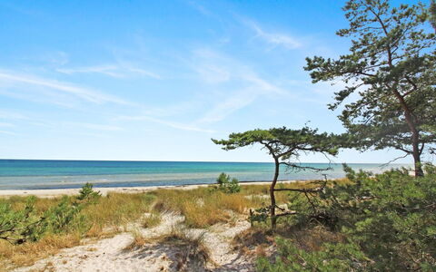 Læff - 50M from the Sea: Hout, Huis, Verblijf, Huis, Dak, Landelijk Gebied, Siding, Blokhut, Garden Gebouwen, Hardwood