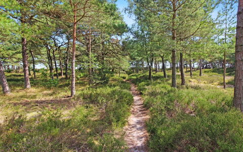 Læff - 50M from the Sea: Hout, Huis, Verblijf, Huis, Dak, Landelijk Gebied, Siding, Blokhut, Garden Gebouwen, Hardwood