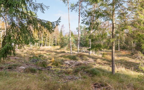 Jaarne - 800M from the Sea: Hout, Huis, Verblijf, Huis, Dak, Landelijk Gebied, Siding, Blokhut, Garden Gebouwen, Hardwood