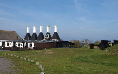 Skoge - 500M from the Sea: Gras, Struik, Huis, Tuin, Huis, Verblijf, Land Lot, Gazon, Groundcover