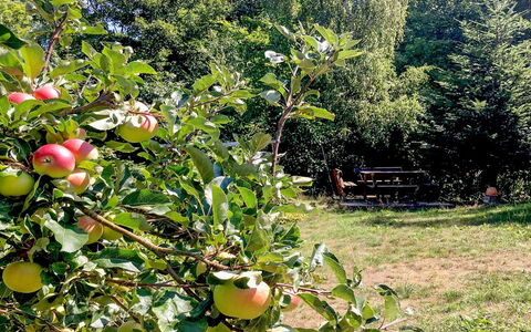 Hannele - 200M from the Sea: Dak, Huis, Land Lot, Huis, Verblijf, Landgoed, Garden Gebouwen, Schaduw, Blokhut, Landscaping