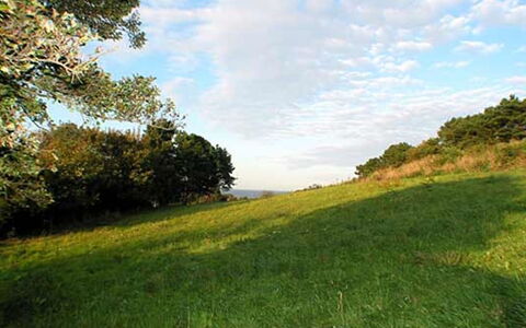 Cristiana - 950M from the Sea: Hout, Huis, Verblijf, Huis, Dak, Landelijk Gebied, Siding, Blokhut, Garden Gebouwen, Hardwood
