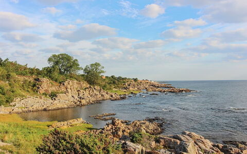 Thorsten - 500M from the Sea: Hout, Huis, Verblijf, Huis, Dak, Landelijk Gebied, Siding, Blokhut, Garden Gebouwen, Hardwood