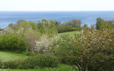 Iikka - 300M from the Sea: Hout, Huis, Verblijf, Huis, Dak, Landelijk Gebied, Siding, Blokhut, Garden Gebouwen, Hardwood