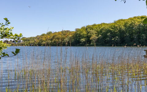 Takenya - 400M from the Sea: Zwembad, Buitenmeubels, Meubilair, Toevlucht, Flagstone, Eco Hotel, Schaduw, Stoel, Vrije Tijd, Landgoed