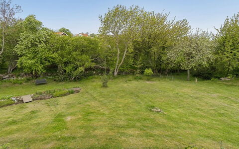 Ebertina - 500M from the Sea: Boom, Gras, Afdeling, Grasland, Struik, Plain, Land Lot, Tuin, Gazon