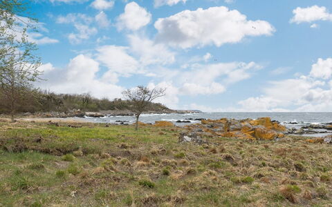 Ensio - 150M from the Sea: Lucht, Blauw, Wolk, Vegetation,  Felsen\, Ecoregio, Horizon, Kust, Plantengemeenschap, Grasland