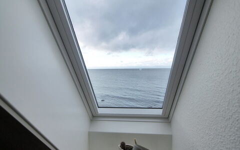 Uschi - 15M from the Sea: Gebouw, Huis, Venster, Huis, Dak, Woongebied, Struik, Verblijf, Land Lot