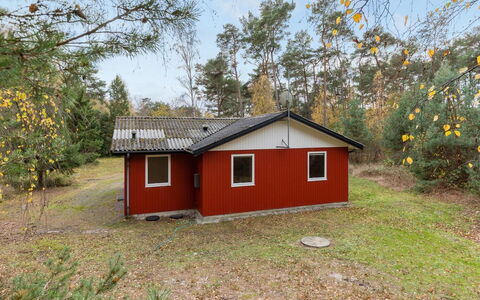 Gerty - 300M from the Sea: Dak, Huis, Huis, Verblijf, Siding, Landgoed, Oprit, Garden Gebouwen, Werf, Schuur