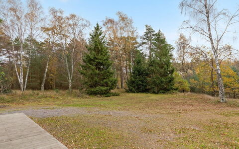 Gerty - 300M from the Sea: Dak, Huis, Huis, Verblijf, Siding, Landgoed, Oprit, Garden Gebouwen, Werf, Schuur