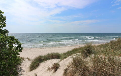 Gonne - 350M from the Sea: Hout, Huis, Verblijf, Huis, Dak, Landelijk Gebied, Siding, Blokhut, Garden Gebouwen, Hardwood