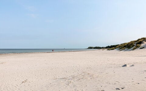 Widerik - 260M from the Sea: Gras, Huis, Dak, Huis, Verblijf, Struik, Land Lot, Landelijk Gebied, Boerderij, Groundcover