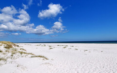 Unker - 800M from the Sea: Hout, Huis, Verblijf, Huis, Dak, Landelijk Gebied, Siding, Blokhut, Garden Gebouwen, Hardwood