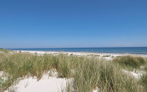 Farina - 150M from the Sea: Hout, Huis, Verblijf, Huis, Dak, Landelijk Gebied, Siding, Blokhut, Garden Gebouwen, Hardwood