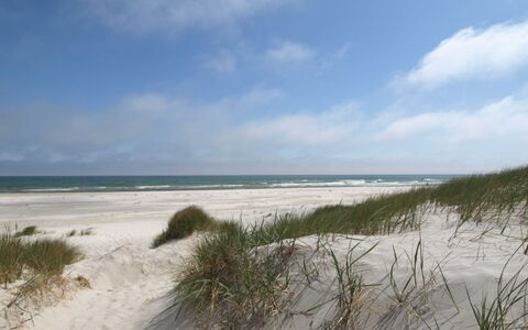 Farina - 150M from the Sea: Hout, Huis, Verblijf, Huis, Dak, Landelijk Gebied, Siding, Blokhut, Garden Gebouwen, Hardwood