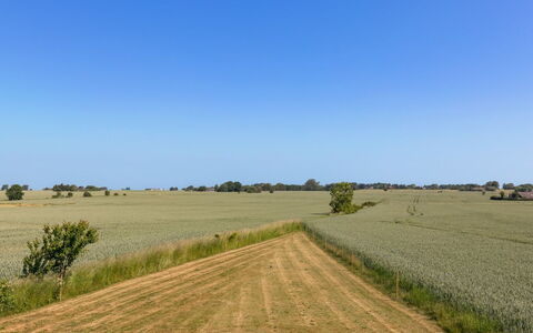 Nilia - 3.5Km from the Sea: Hout, Dak, Architectuur, Huis, Huis, Verblijf, Siding, Hardwood, Helling, Landgoed