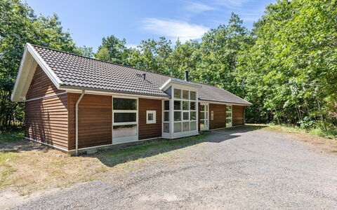 Dafne - 600M from the Sea: Dak, Huis, Huis, Verblijf, Siding, Landgoed, Oprit, Garden Gebouwen, Werf, Schuur