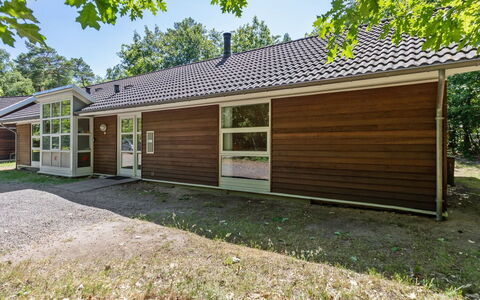 Dafne - 600M from the Sea: Dak, Huis, Huis, Verblijf, Siding, Landgoed, Oprit, Garden Gebouwen, Werf, Schuur