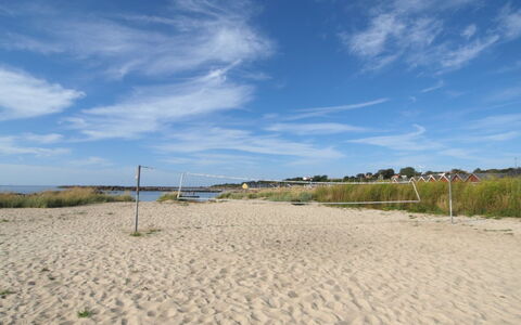 Axel - 1.2Km from the Sea: Hout, Huis, Verblijf, Huis, Dak, Landelijk Gebied, Siding, Blokhut, Garden Gebouwen, Hardwood