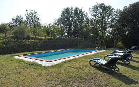 Villa Antelminelli: Fabriek, Lucht, Zwembad, Boom, Schaduw, Buitenmeubels, Openluchtbank, Rechthoek, Vrije Tijd, Gras