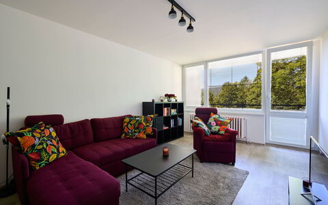 Harrachov 582: Meubilair, Eigendom, Bankstel, Tafel, Interieur Ontwerp, Venster, Kamerplant, Woonkamer, Hout, Verdieping