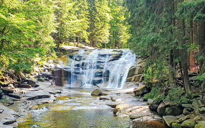 Harrachov 582