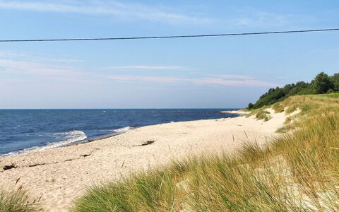 Iivo - 350M from the Sea: Hout, Huis, Verblijf, Huis, Dak, Landelijk Gebied, Siding, Blokhut, Garden Gebouwen, Hardwood