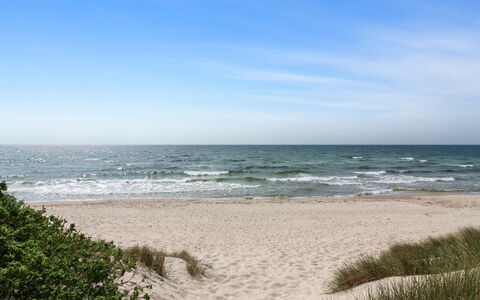 Aave - 800M from the Sea: Hout, Huis, Verblijf, Huis, Dak, Landelijk Gebied, Siding, Blokhut, Garden Gebouwen, Hardwood