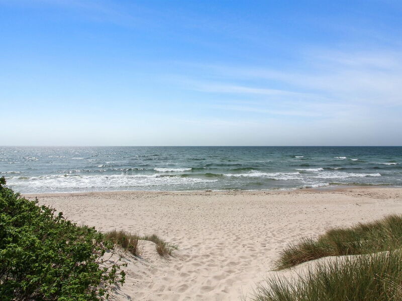 Aave - 800M from the Sea