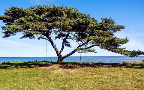 Anemette - 100M from the Sea: Blauw, Afdeling, Horizon, Ecoregio, Kust, Kust En Oceanic Landvormen, Trunk, Zee, Kust, Oceaan