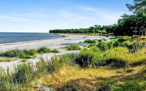 Anemette - 100M from the Sea: Water, Kust, Kust, Kust En Oceanic Landvormen, Strand, Zee, Bank, Oceaan, Baai, Zand